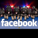 puppies FB2