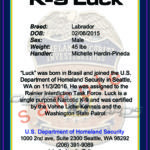 trading card template.cdr