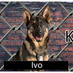 IVO License Plate 2